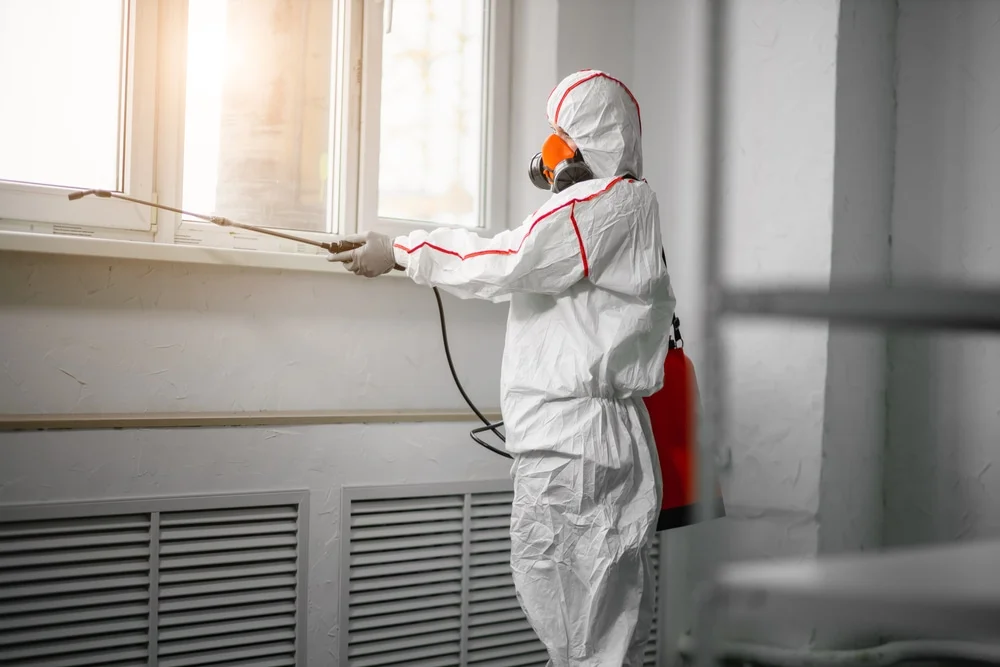 Professional mold remediation services in Greenwood, VA